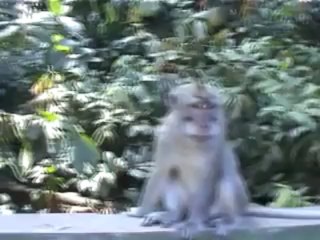 썬시티바카라✲✲✲✲  ✲✲✲✲ Q­C­H­1­3­8.­C­O­M ✲✲✲✲   ✲✲✲✲싱가포르카지노