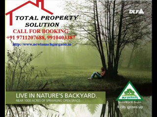 Dlf Sector 81 "THE ULTIMA" @ 9711207688