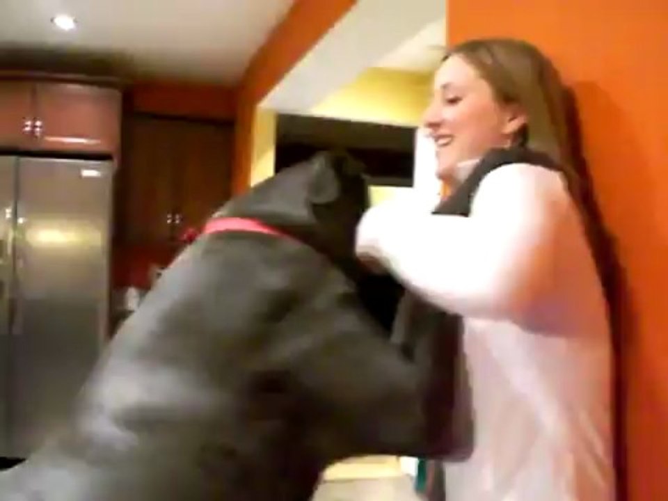 합법카지노✲✲✲✲  ✲✲✲✲ Q­C­H­1­3­8.­C­O­M ✲✲✲✲   ✲✲✲✲카지노룰렛