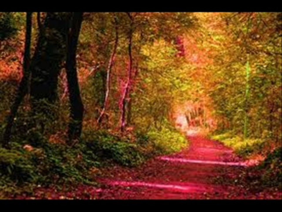 YEP YENİ HARİKA BİR TÜRKÜ "DÜŞTÜ GÖNLÜM VEFASIZA"