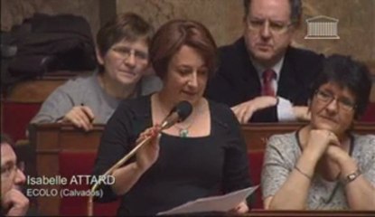 2013-01-23 Question à Delphine BATHO - Fuite de gaz mercaptan à Rouen