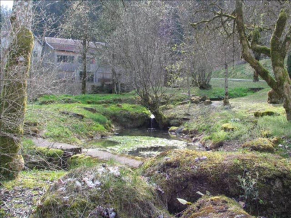 Au milieu des anges