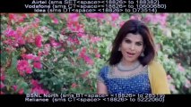 Tere Bagair - Video Song - Movie: Wafaa - Singer: Kumar Sanu & Paronali
