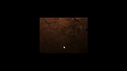 3D Yarış Oyunları