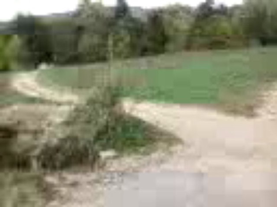 race fiesta chemin
