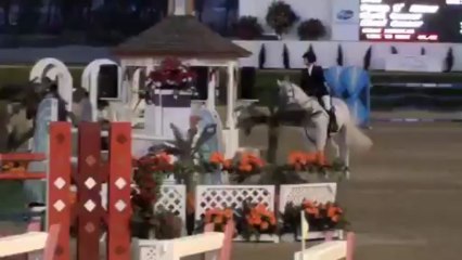 Poème d' Amour de Buissy (AA) 2013/02 FEI GP wk