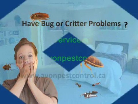 Exterminator Pest Control Services