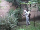 Farmapest Böcek İlaçlama (İstanbul Böcek İlaçlama Firması) Pest Control