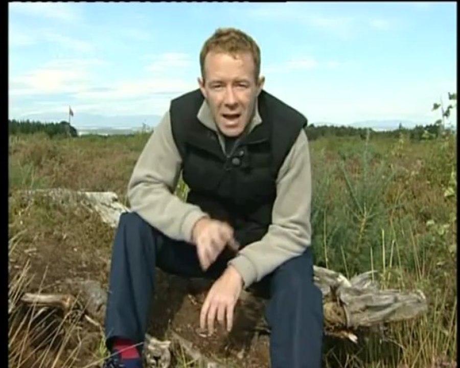 Culloden 1746