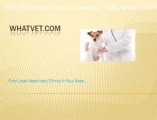 Choosing the Professional Pet Veterinarian for Your Pet