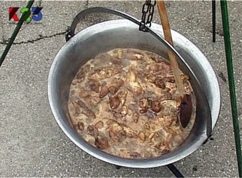 K23TV - Interjú - Töpörtyű fesztivál - 2013. március 9.