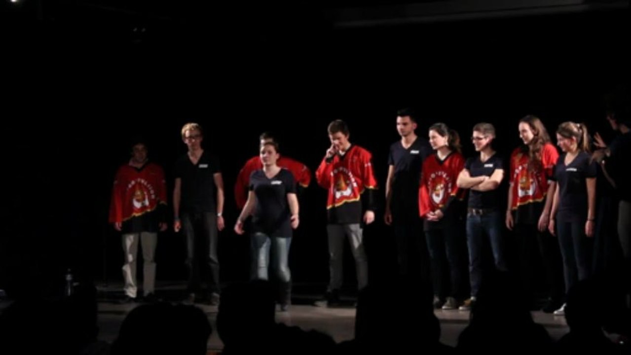 RING 2013 - S2M1 - GEM vs SKEMA