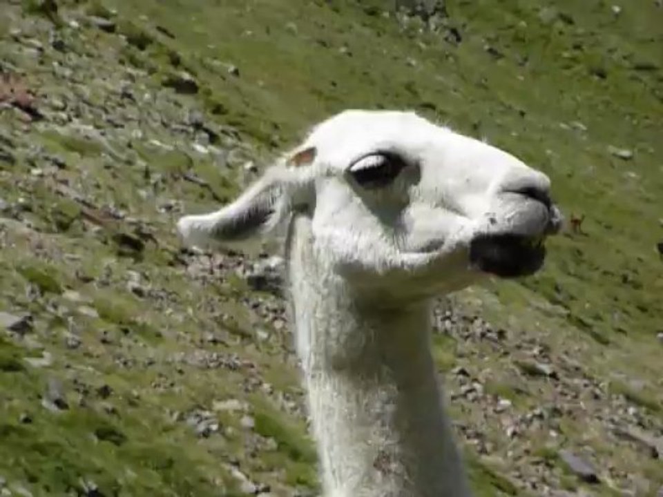 20120802_ lac_d_Oncet_2