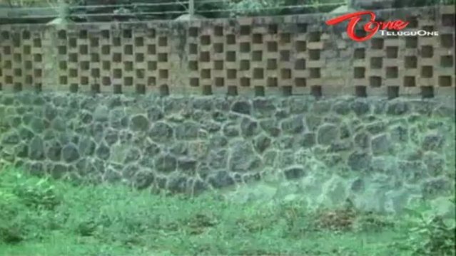 Telugu Comedy - Sutti Veerabhadra Rao Kicked Black & Blue