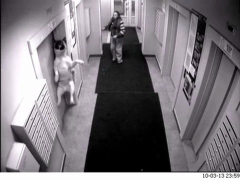 Ivre dans l'ascenseur, il oubli son chien