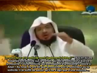 RAPPEL ET MEDITATION EMOUVANTS SOURATE 22 "AL HAJJ "    -  6EME PARTIE /7