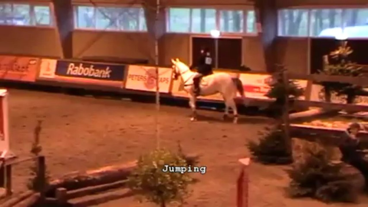 Senzo de Buissy 2012 SGW Deurne indoor Cross & Jumping