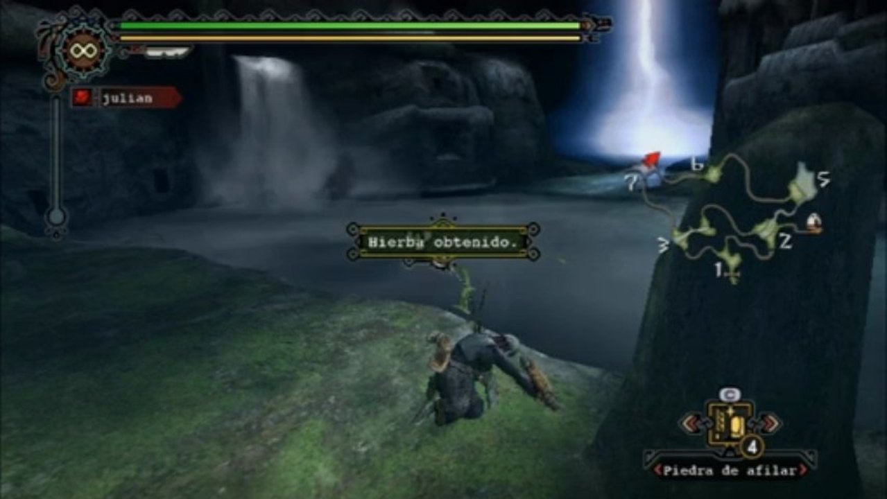 Dolphin 3.5 - 367 - Monster Hunter tri Gameplay