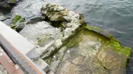 Temel'le Beylerbeyi-Çengelköy-11,03,2013-R