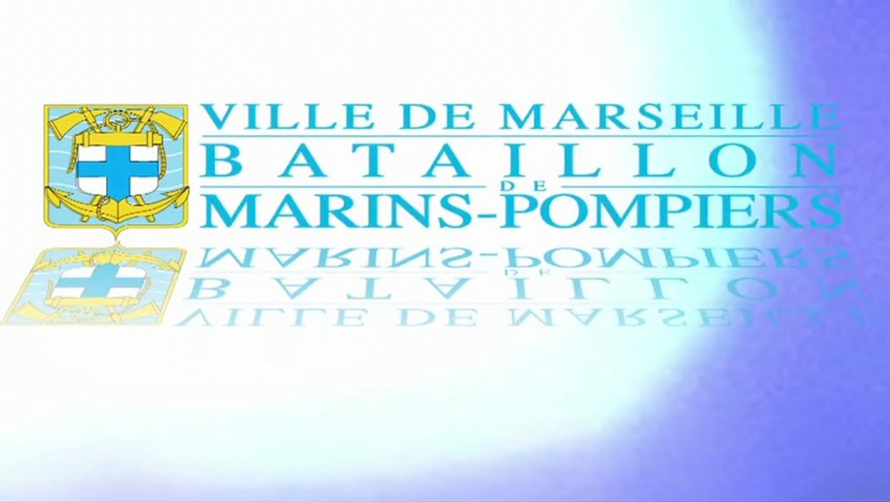 BMPM: Les volontaires des armées du BMPM.