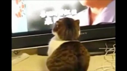 Bir haber aldılar, dünyaları alt üst oldu.