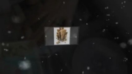 Best Missouri City Mover | (281) 920-2313