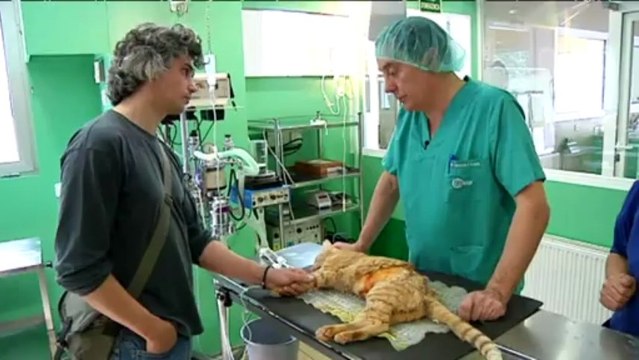 TV3 - Veterinaris - Veterinaris - capítol 93
