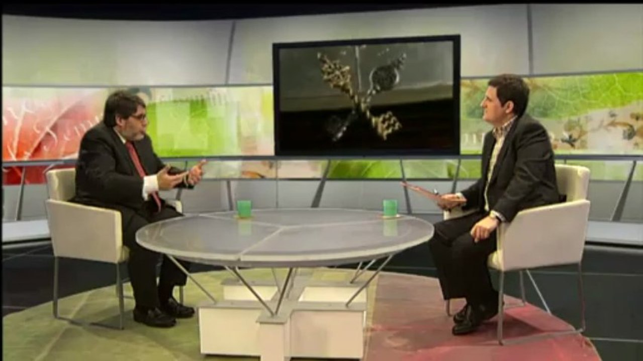 TV3 - Signes dels temps - El conclave