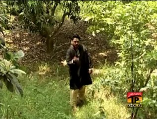 Sohni Lagdi, Tahir Mehmood Nayyar