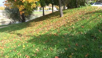 SEQUENCES NANCEIENNES hdvd