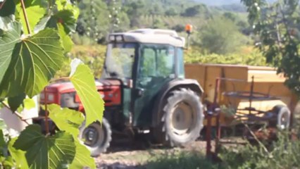 - Message de vigneronne-oenotourisme au domaine de creva-tinas-minervois