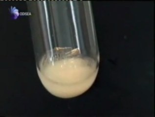 Biologia sintetica: Jay Keasling