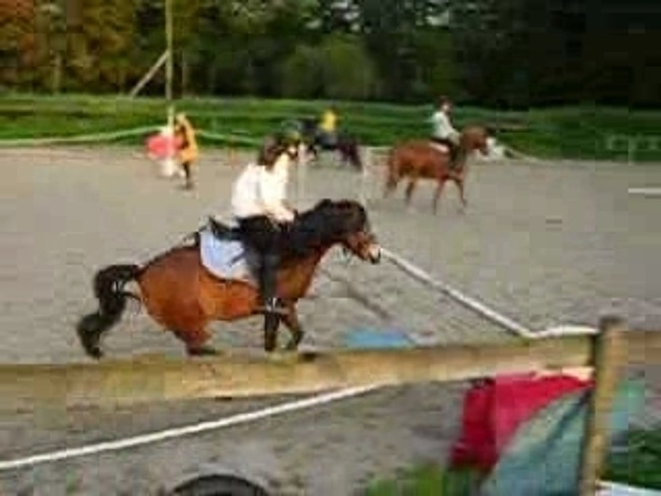 Cour d'obstacle