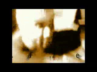 O.X. - When Animals Attack (World War O.X. Part 2)_low