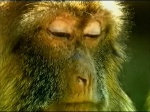 On a passé une dure journée..on a les paupières lourdes