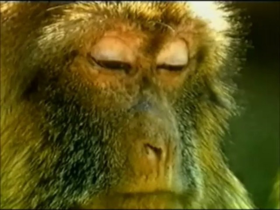 On a passé une dure journée..on a les paupières lourdes