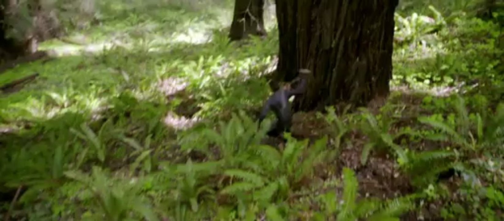 AFTER EARTH - NEW OFFICIAL TRAILER