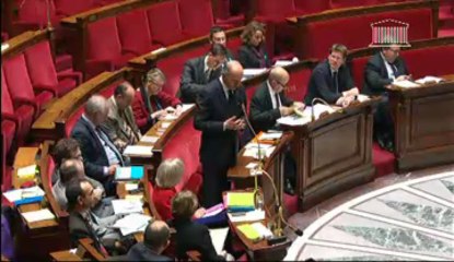 Questions au gouvernement ; Débat sur Le Mali : Au-delà de l'intervention militaire, perspectives de reconstruction et de développement