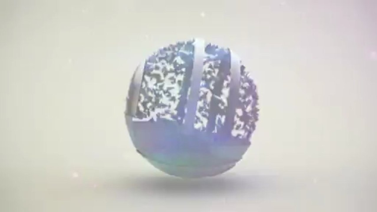 Avant le Derby, Présentation des Girondins de Bordeaux