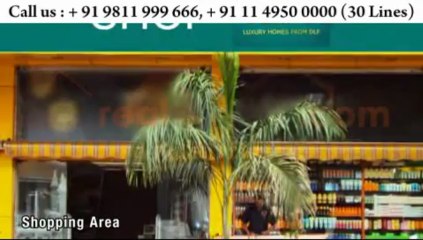 DLF Ultima Sector 81 Gurgaon