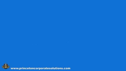 Form S-1 Filing And Sec Filing Fee