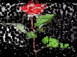 Son şiirim - İzzettin Bilgin