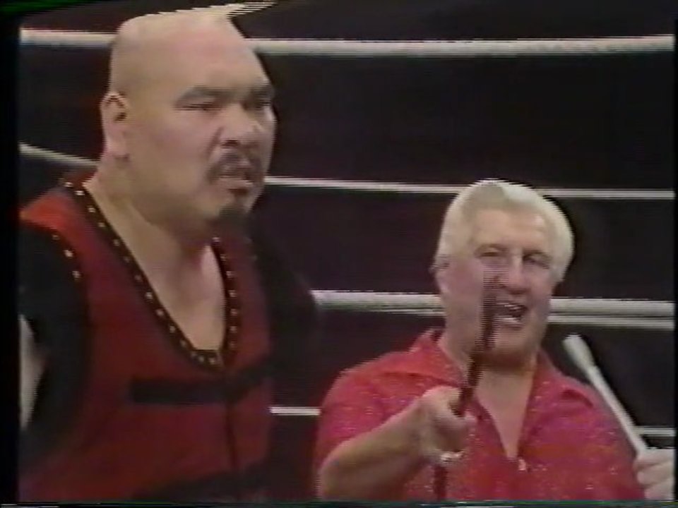 WWF TV Interviews - August 1981 - video Dailymotion