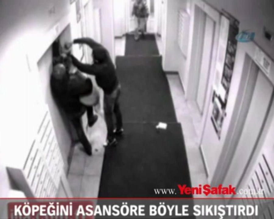Köpeğini asansöre böyle sıkıştırdı