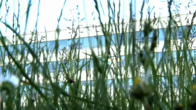 New e-mail environment improves communication between all Renault sites