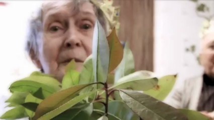 EN PASSANT PAR LA LORRAINE