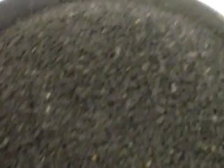 Ekotok 1 - Single Head Grapeseed Oil Press