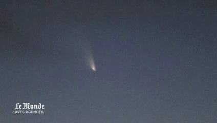 Les images de la comète Pan-STARRS