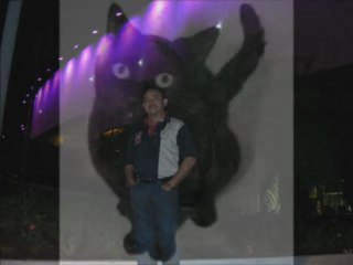 Negro Gato - Outros caminho - Novo CD Vicente Telles