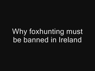Why foxhunting must be banned in Ireland
